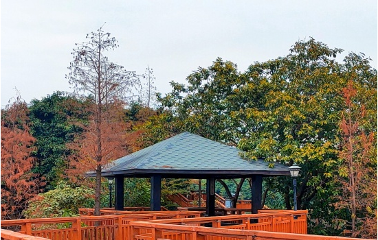 塑木復(fù)合材料亭廊設(shè)計(jì)探討