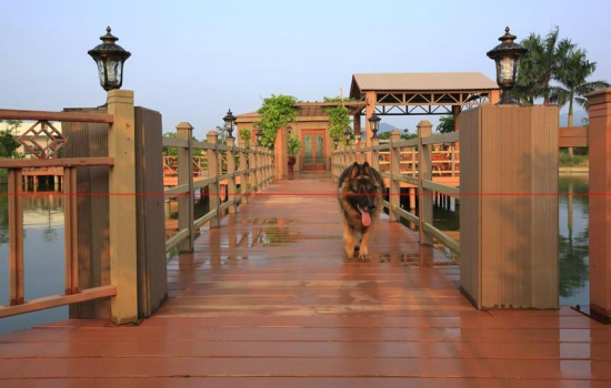 竹塑復合材料制備