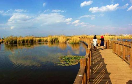 共擠塑木地板身現城市園林景觀