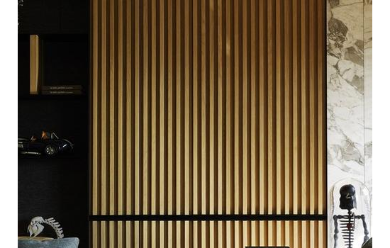 塑木復合材料在墻體裝飾中的應用