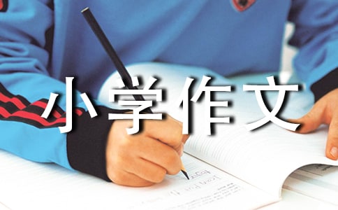 �ҵ�����С�W����5ƪ�����A��