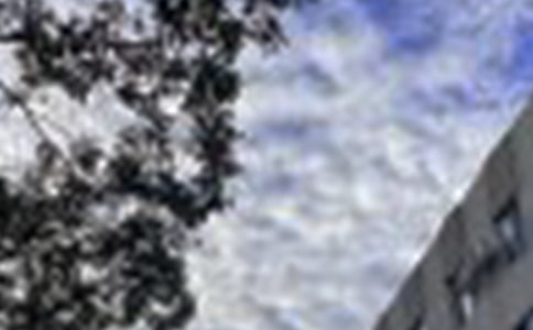 �m�����ϰl(f��)���簲���Z(y��)�Z(y��)�31��