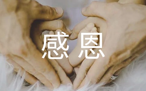 讀《感恩的心》有感18篇